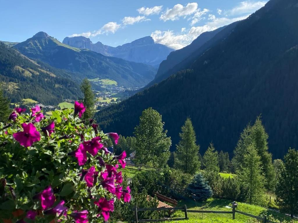 Chalet Relax Поцца-ді-Фасса Екстер'єр фото