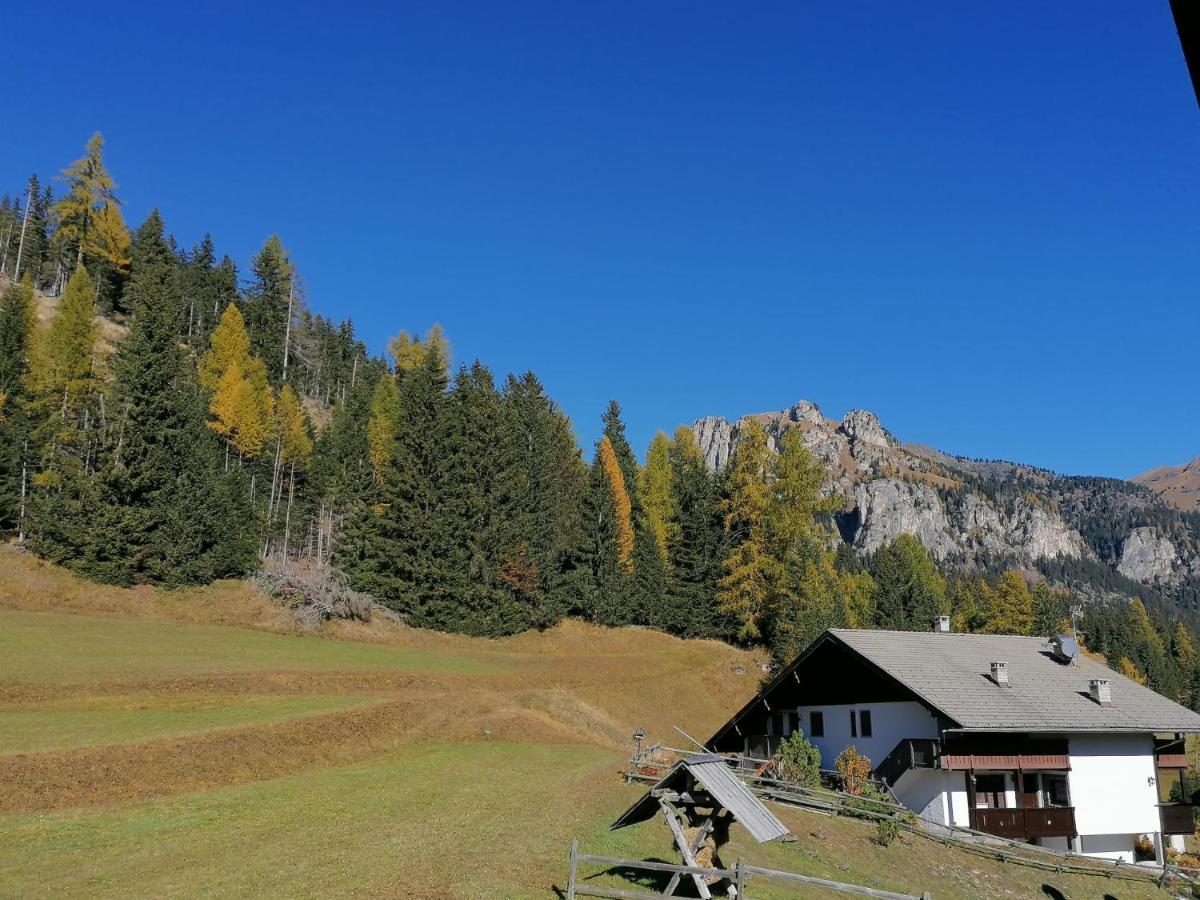 Chalet Relax Поцца-ді-Фасса Екстер'єр фото