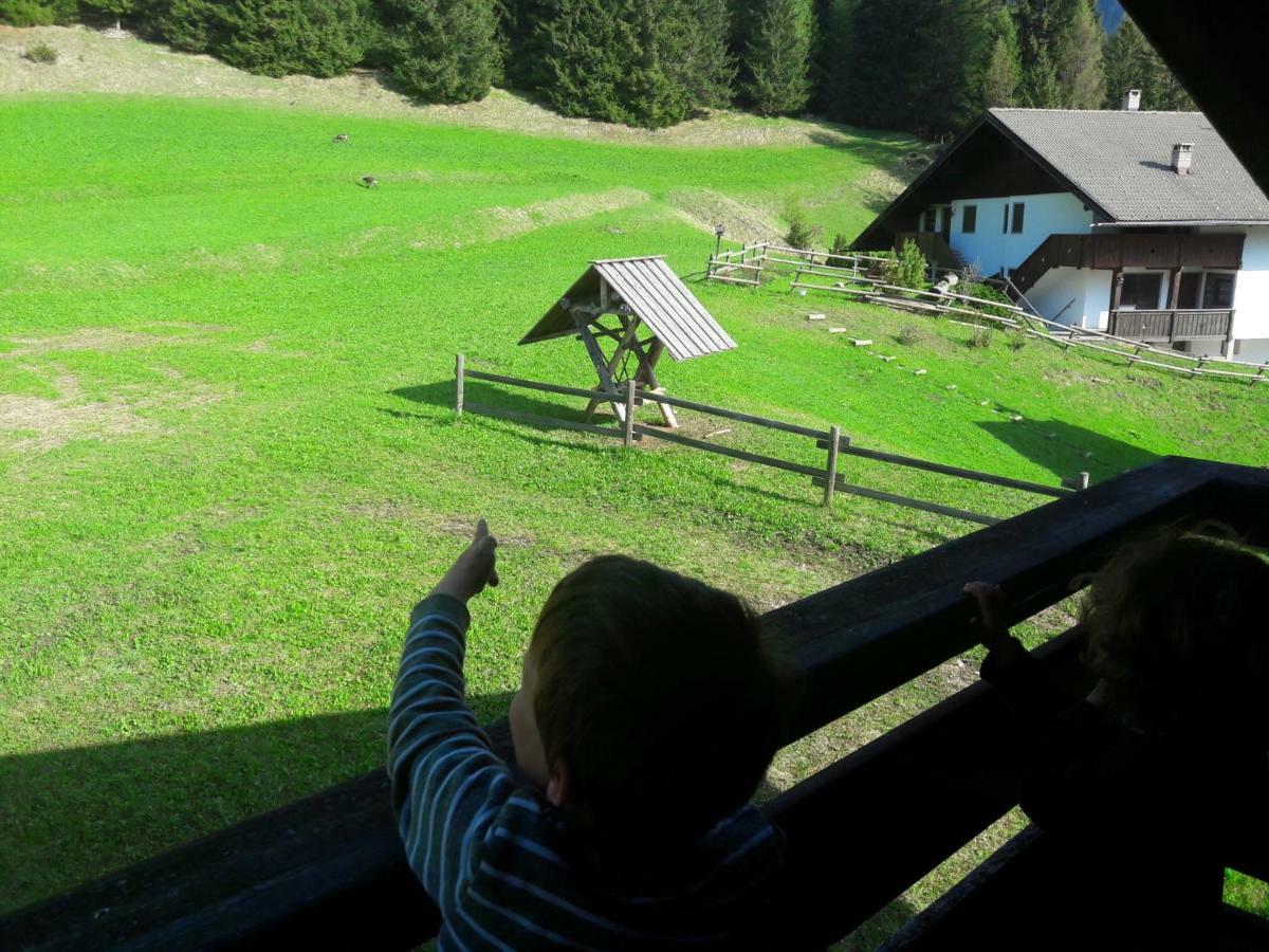 Chalet Relax Поцца-ді-Фасса Екстер'єр фото